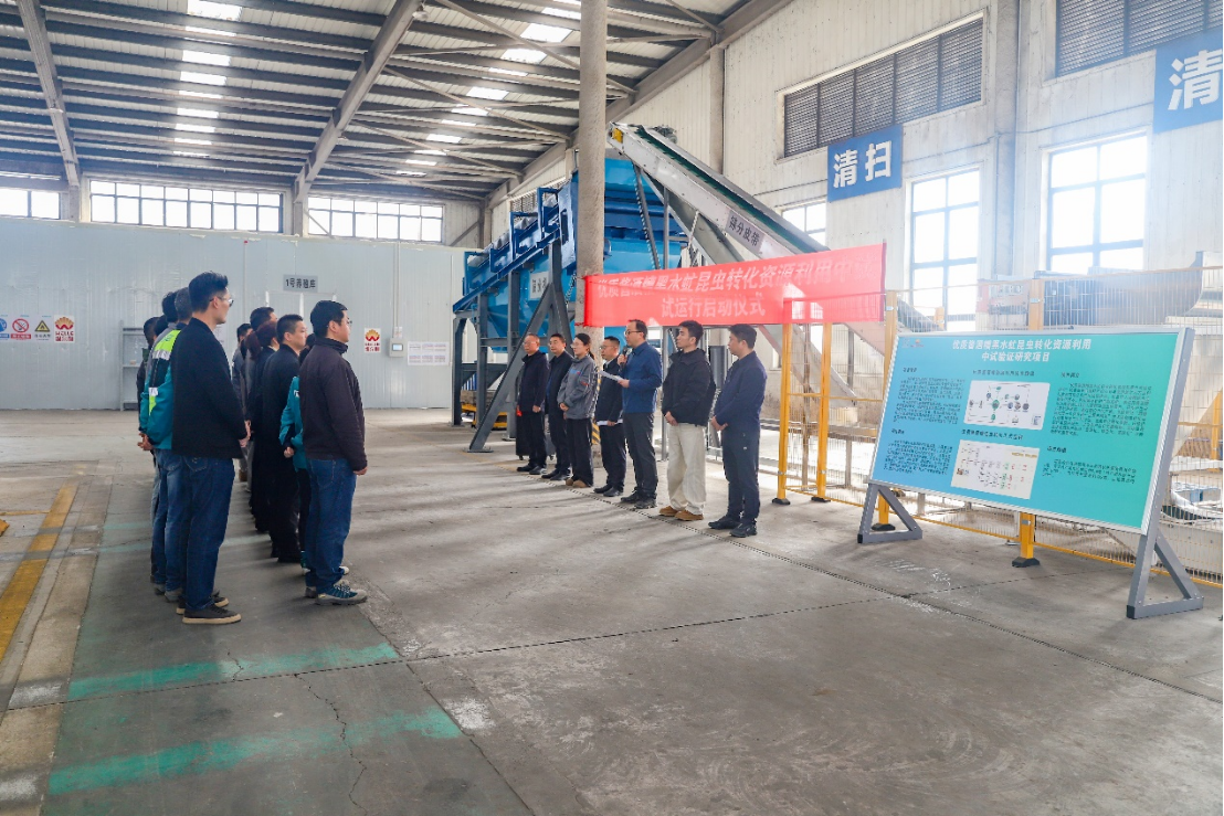 維爾利醬酒糟黑水虻轉化中試項目啟動試運行