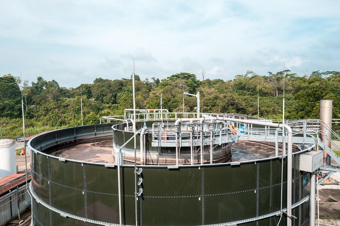 維爾利成功簽約新加坡生物能源項目